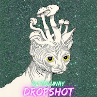 Dj Tolunay - Drop Shot загрузить