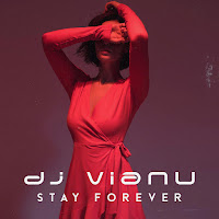 Dj Vianu - Stay Forever загрузить
