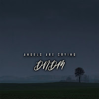 Dndm - Angels Are Crying загрузить