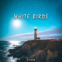 Dndm - White Birds загрузить