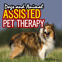 Dog Training Institute - Mental And Psychological Benefit To Owning Pets загрузить