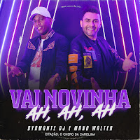 Dyamante Dj - Vai Novinha Ah, Ah, Ah / Citação: O Chêro Da Carolina Ft Mano Walter загрузить