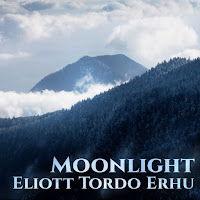 Eliott Tordo Erhu - Moonlight загрузить