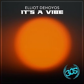 Elliot Dehoyos - It's A Vibe (Radio Edit) загрузить
