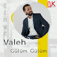 Elnur Valeh - Gülüm Gülüm загрузить