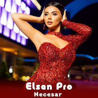 Elsen Pro - Necesar загрузить