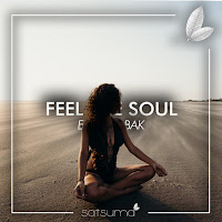 Emre Kabak - Feel The Soul загрузить