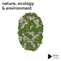 Eric Chevalier - Misty Lake загрузить