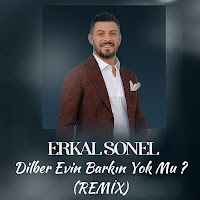 Erkal Sonel - Dilber Evin Barkın Yok Mu (Remix) загрузить