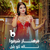 Farahnoz Sharafova - Nala Ko Bulbul загрузить