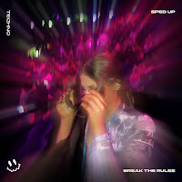 Fast Basston - Break The Rules - (Techno Sped Up) Ft Basston & Tazzy загрузить