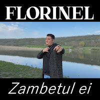 Florinel - Zambetul Ei загрузить