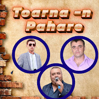 Formatia Doi Frati - Furtuna Ft Nicolae Cretu загрузить