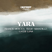 Francis Mercier - Yara Ft Frigid Armadillo & Luedji Luna загрузить