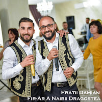 Fratii Damian - Foaie Verde Ca Aluna загрузить