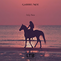 Gabriel Moe - Only Now загрузить