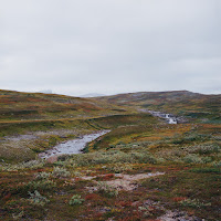 Gidge - Bleak загрузить