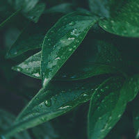 Graham - Body Language загрузить