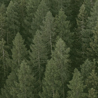 Graham - Dollar загрузить