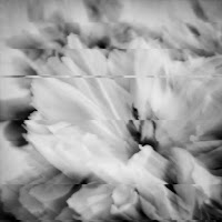 Graham - Write Me In загрузить