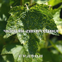 Гудзон - Черная Смородина загрузить