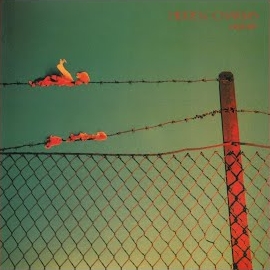 Hidden Charms - History загрузить