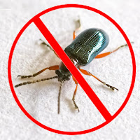 Insect Repellent - Insect Repellent загрузить