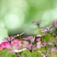 Instrumental Jazz Music Ambiental - Remarkable Backdrops For Post Work Relaxation загрузить