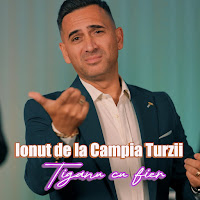 Ionut De La Campia Turzii - Tiganu Cu Fier загрузить