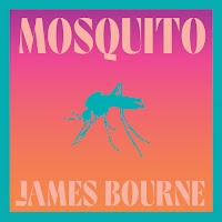 James Bourne - Mosquito загрузить