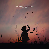 Jonah Baker - Calm Down (Acoustic) загрузить