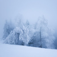 Joshua Kyan Aalampour - Childhood Memories загрузить