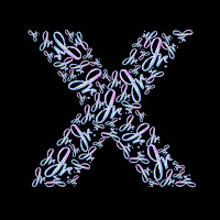 Jr. - X Amada загрузить