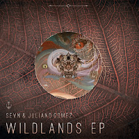 Juliano Gomez - Flowstate Ft Sevn (Ca) загрузить