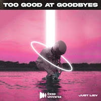 Just Liev - Too Good At Goodbyes загрузить