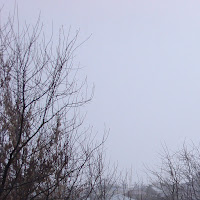 Kaeshani - Involuntary Memory загрузить