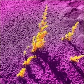 Kausak - Infected (Slowed+Reverb) загрузить