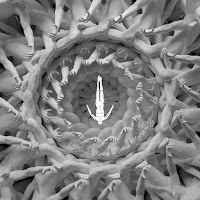 Kevin De Vries - Dance With Me (Kölsch Remix) загрузить