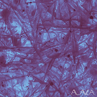 Klangphonics - Feeling Pressure загрузить