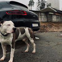 Krbk - 38 Строчек загрузить