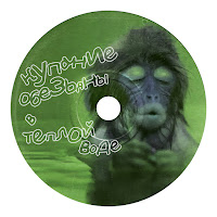 Купание Обезьяны В Тёплой Воде - Хоккей загрузить