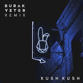 Kush Kush - I'm Blue (Burak Yeter Remix) загрузить