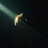 Leblanc - Emotions загрузить