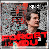 Liquidfive - Forget You загрузить
