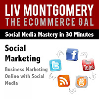 Liv Montgomery - Social Marketing: Business Marketing Online With Social Media, Part 5 загрузить