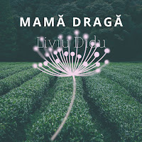 Liviu Didu - Mama Draga загрузить