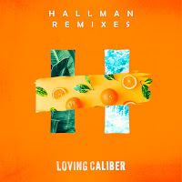 Loving Caliber - While We're Young (Hallman Remix) (Instrumental Version) Ft Hallman загрузить