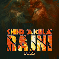 Lucky Dj - Sher Akela Rajni Boss загрузить