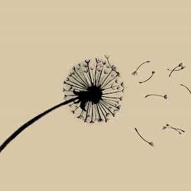 Мао - Все Еще Живой загрузить