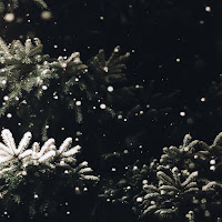 Marshall Usinger - Wonder In Winterland загрузить